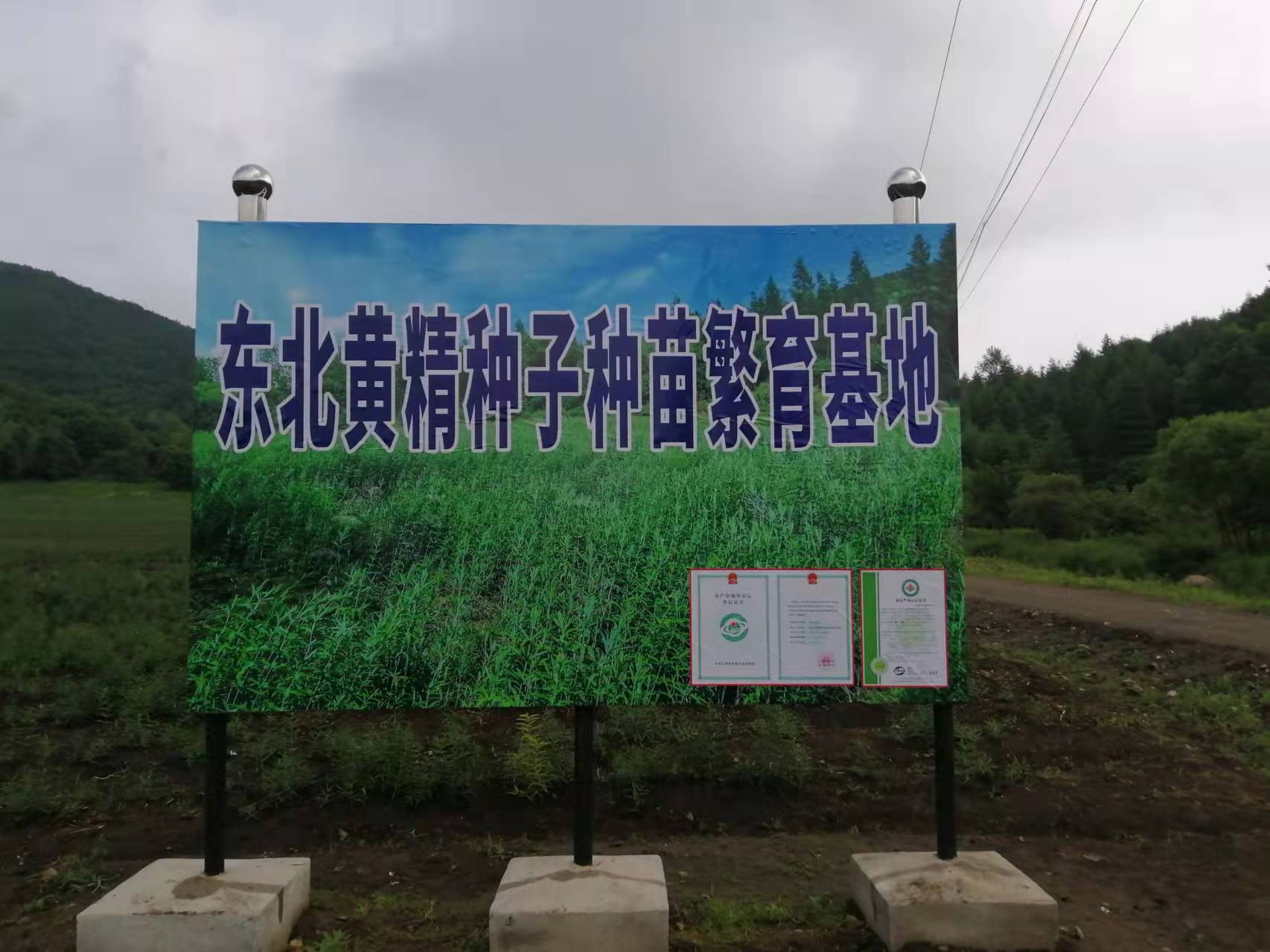 微信图片_202203241533357.jpg