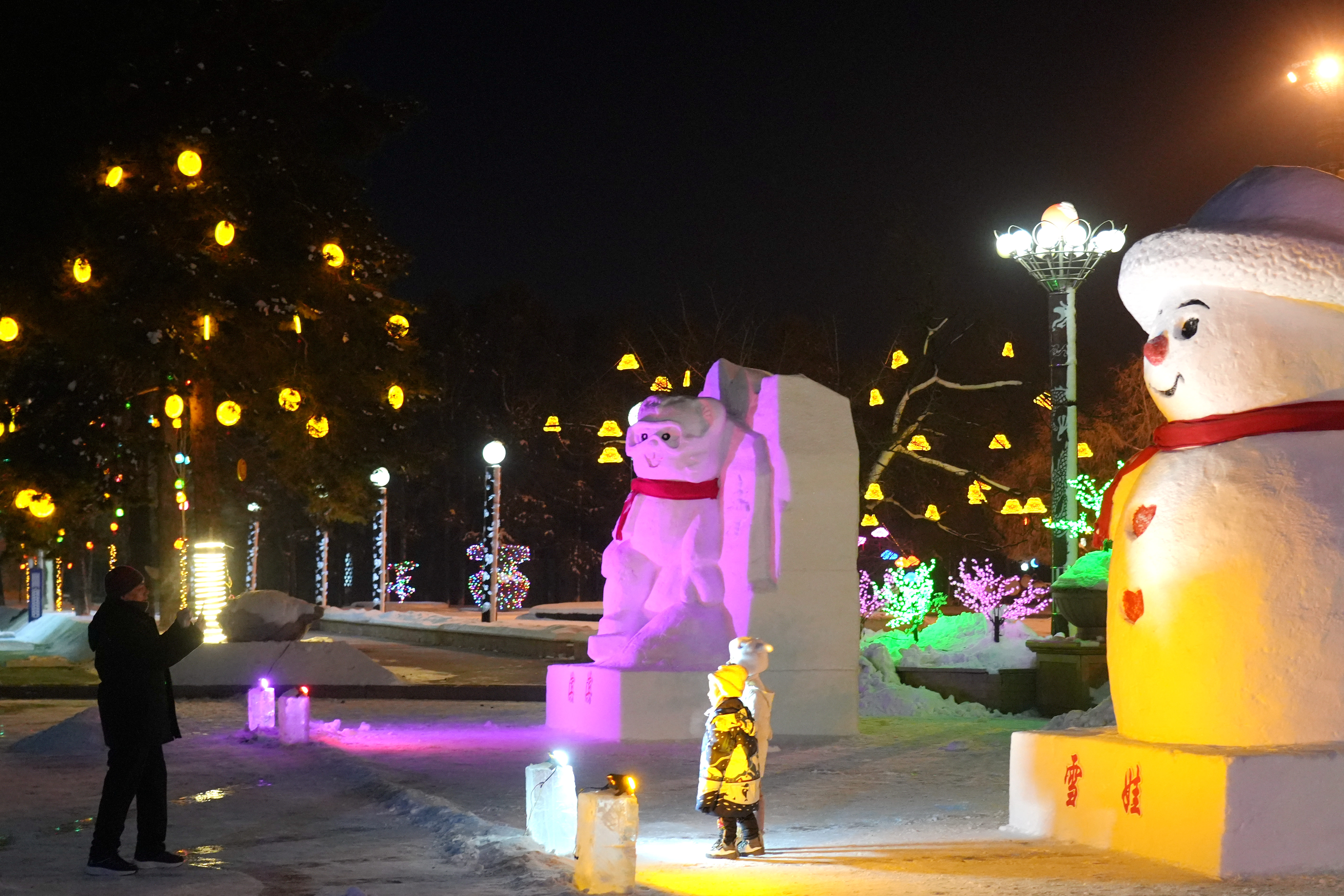 普阳农场五彩斑斓的夜景引人驻足打卡（刘琳 摄）.JPG