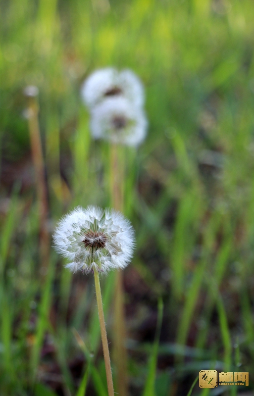 hljrb_2_2020092fb953d7-a208-4c3c-97cd-88098ea6d647.jpg