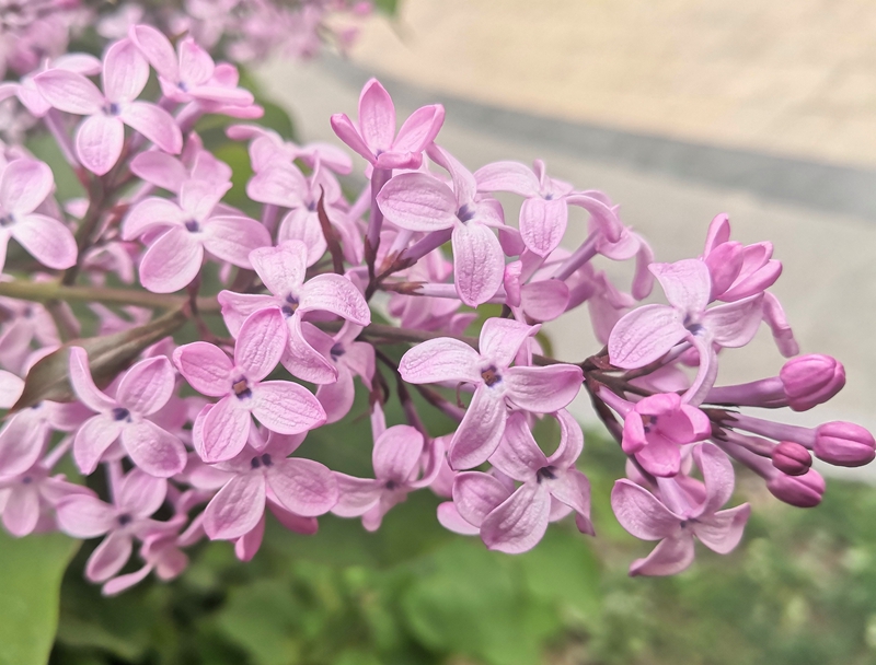 微信图片_2025-05-15_113920_511.jpg