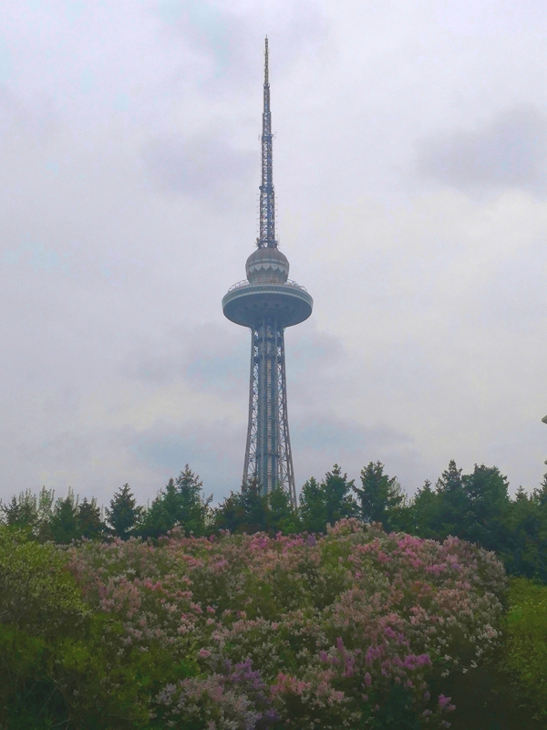 微信图片_2025-05-15_113959_584.jpg
