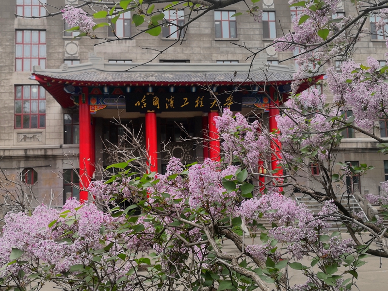 微信图片_2025-05-15_114016_183.jpg