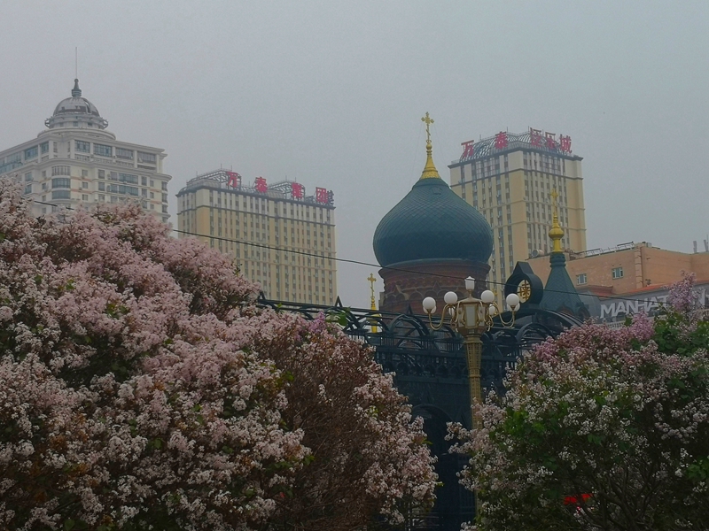 微信图片_2025-05-15_113936_976.jpg