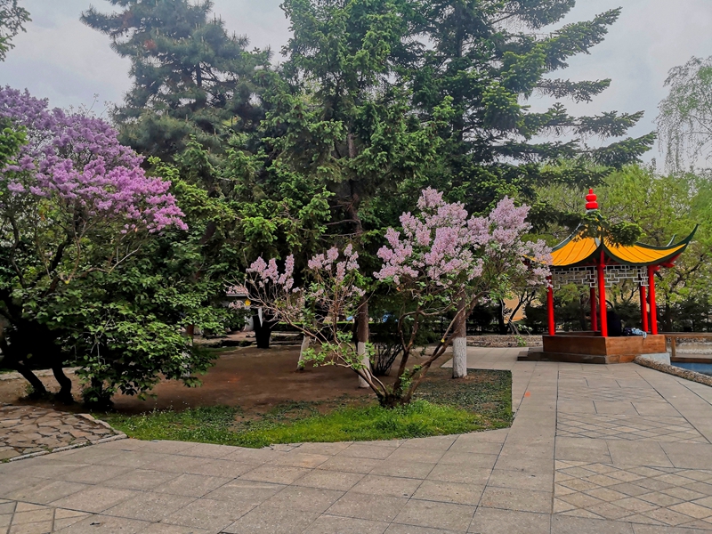 微信图片_2025-05-15_113949_288.jpg