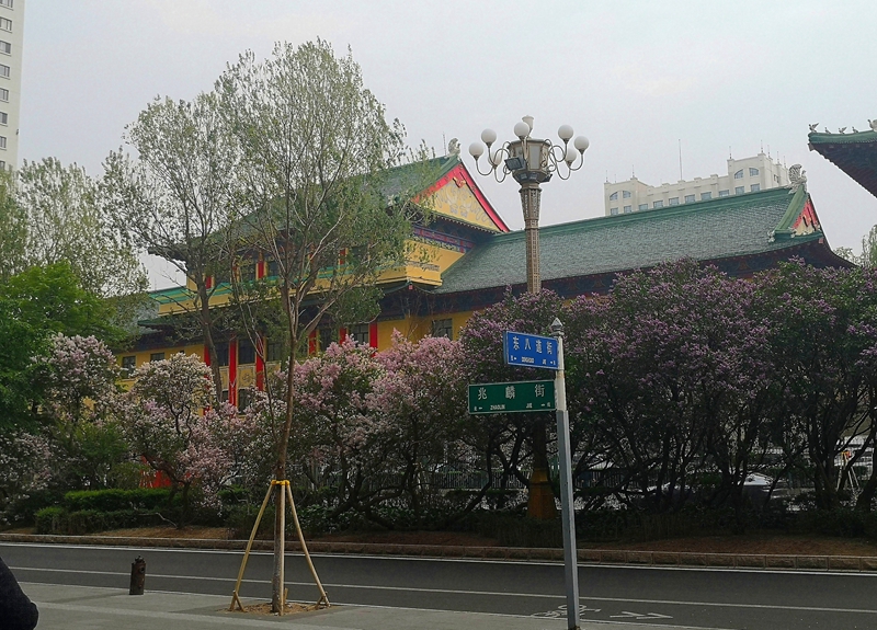 微信图片_2025-05-15_113926_415.jpg