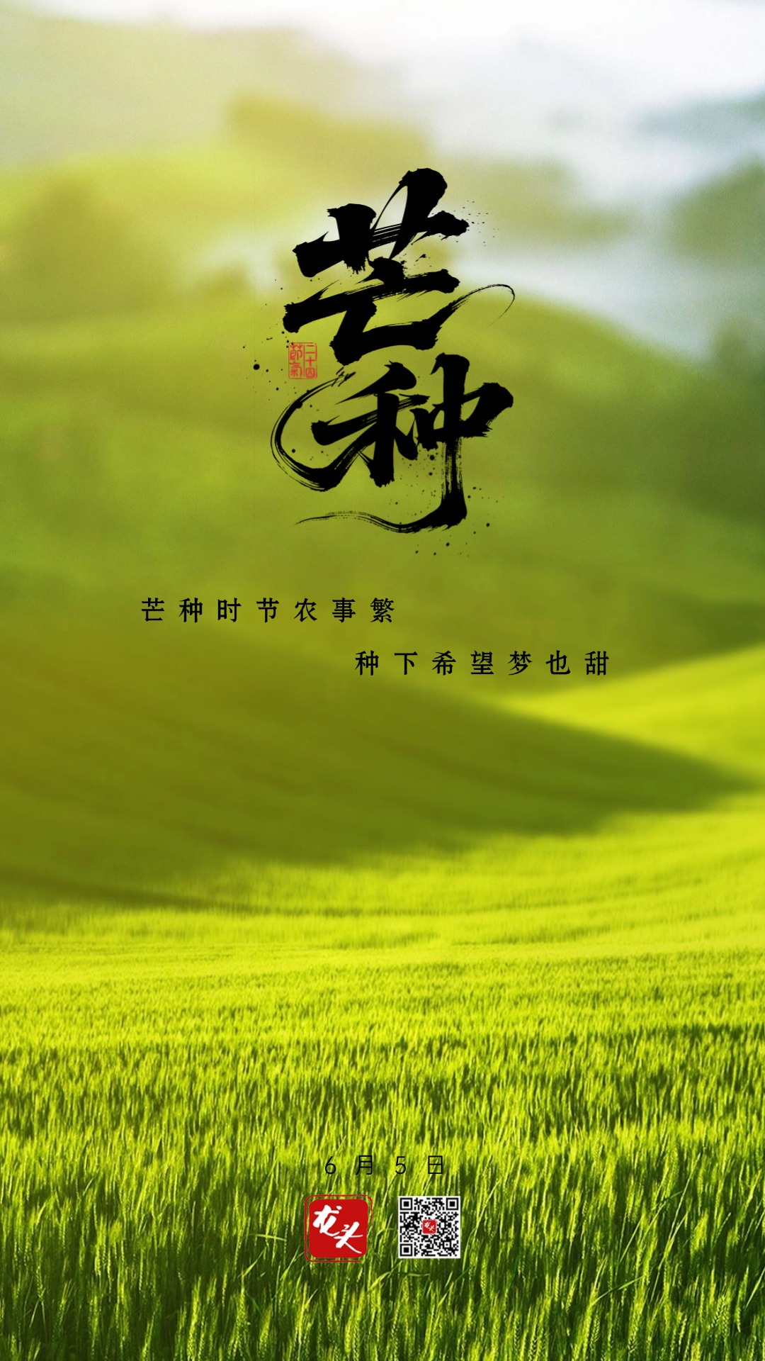 微信图片_20250604215926.jpg