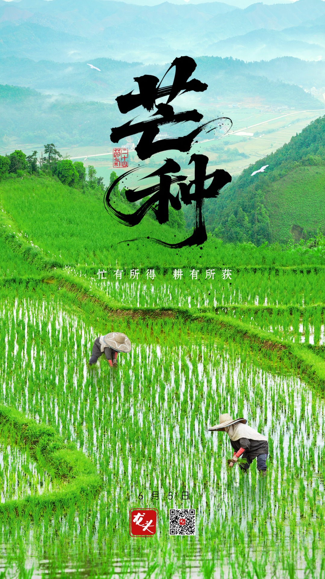 微信图片_20250604215930.jpg