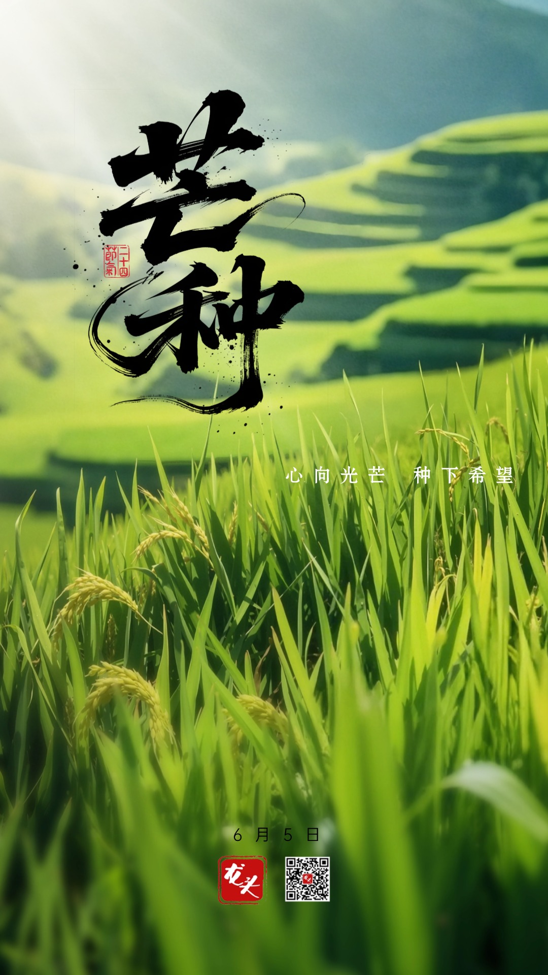 微信图片_20250604215934.jpg