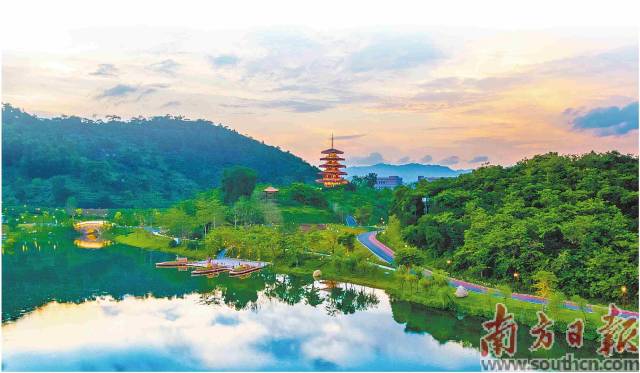 云浮市新兴县金台山智慧公园。李雪柏 摄