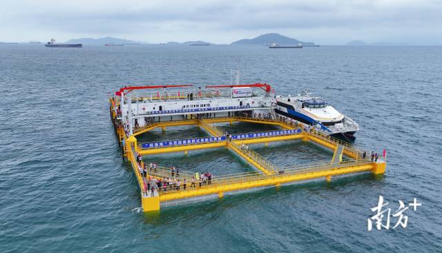 “伶仃牧场1号”。南方+记者 关铭荣 摄