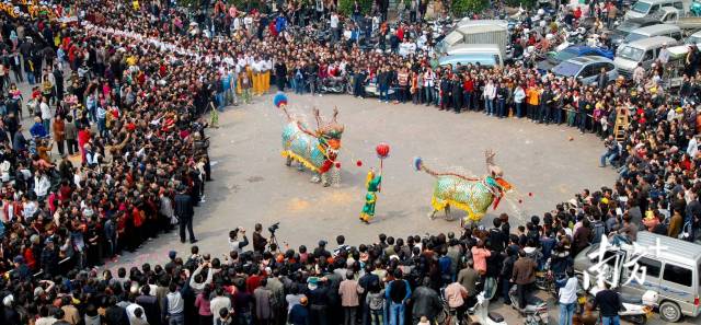 麒麟舞 澄海区文化馆供图