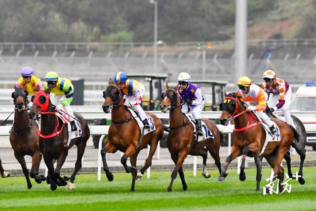 2019年3月23日,香港赛马会与广州市从化区政府合作举办的首场纯演示性速度马术比赛在从化马场举行。 南方+记者 李细华 摄