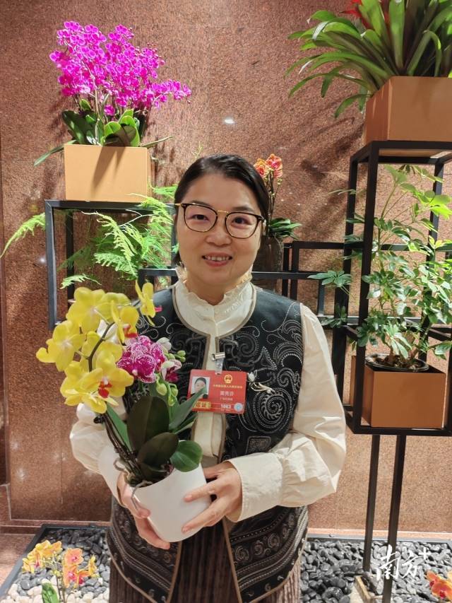 今年全国两会代表委员驻地里，翁源兰吸引不少代表委员驻足拍照。图为全国人大代表、广东亚北农副产品有限公司董事长黄秀芬和翁源兰花。洪秋婷 摄