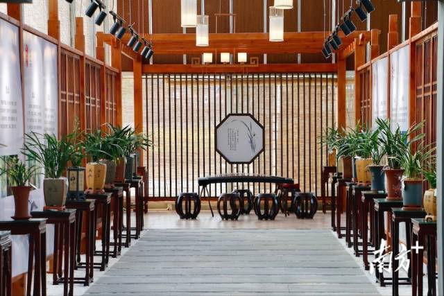 兰韵悠长，兰花企业展示长廊。受访者供图