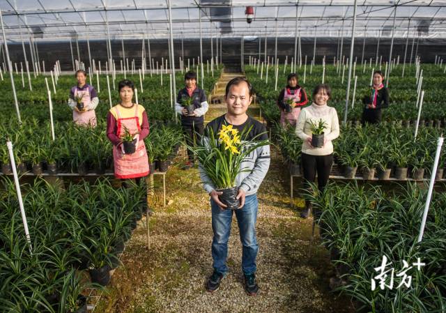 兰香满园，农人共绘致富图。受访者供图