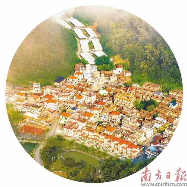 山沟沟里的大产业，带富新兴簕竹镇百姓。