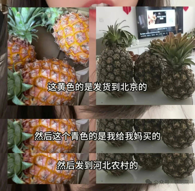 图片来源于网络。
