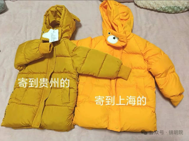 图片来源于网络。