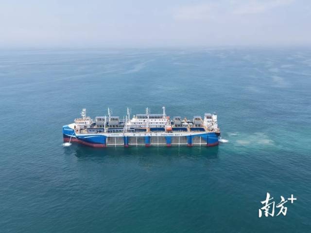 “湛江湾1号”。