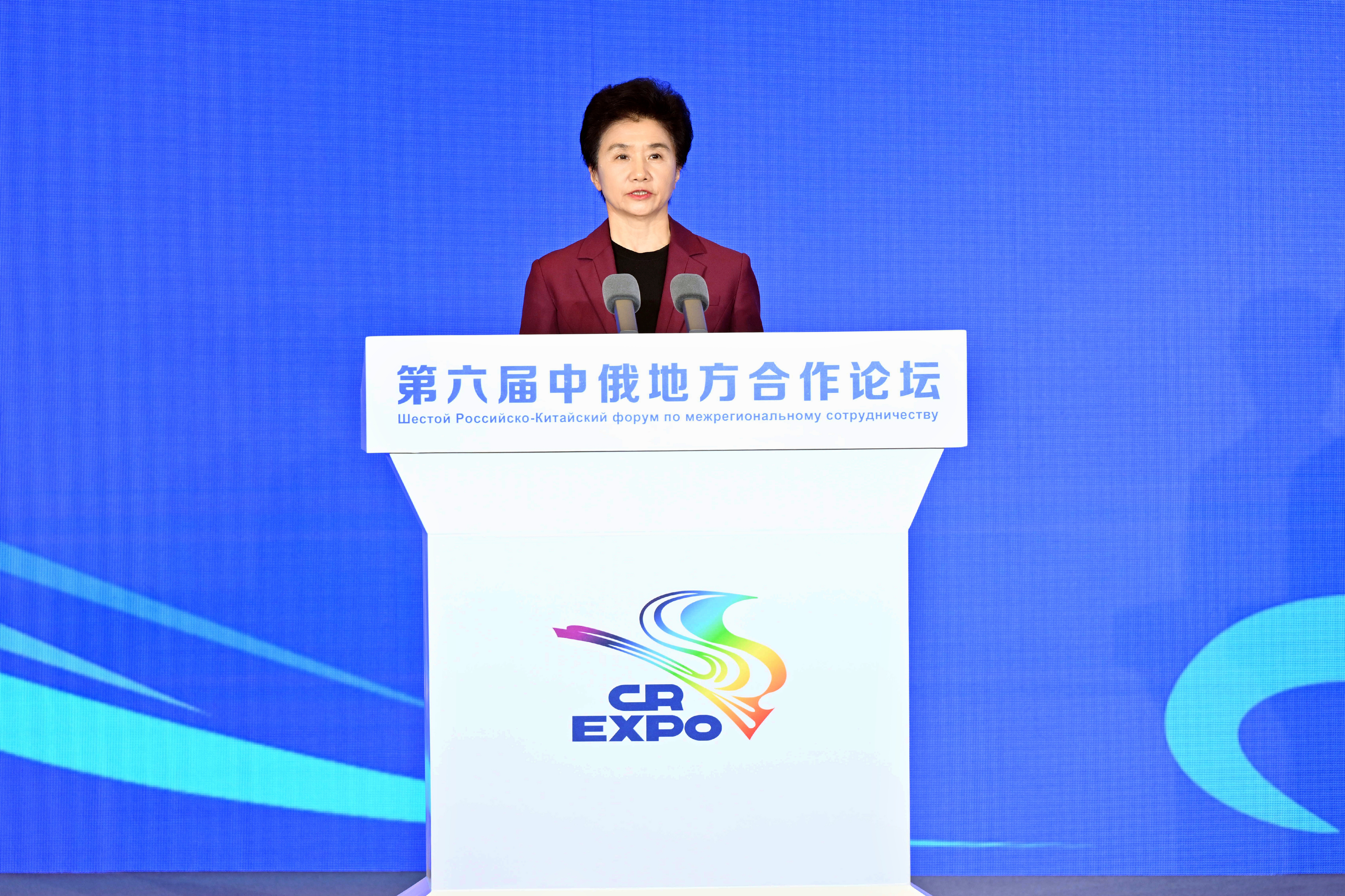 第六届中俄地方合作论坛在哈尔滨举行
