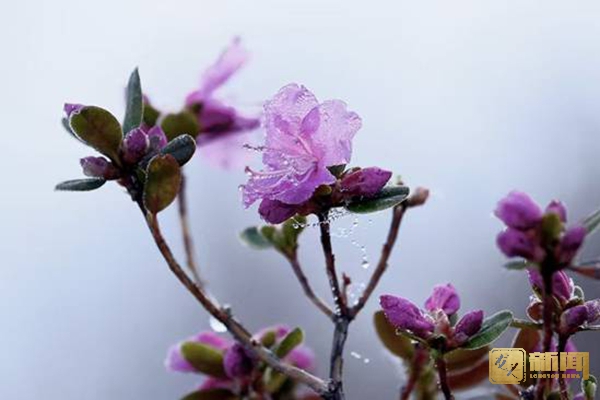 image006.jpg