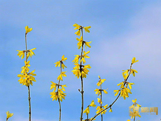 image004.gif