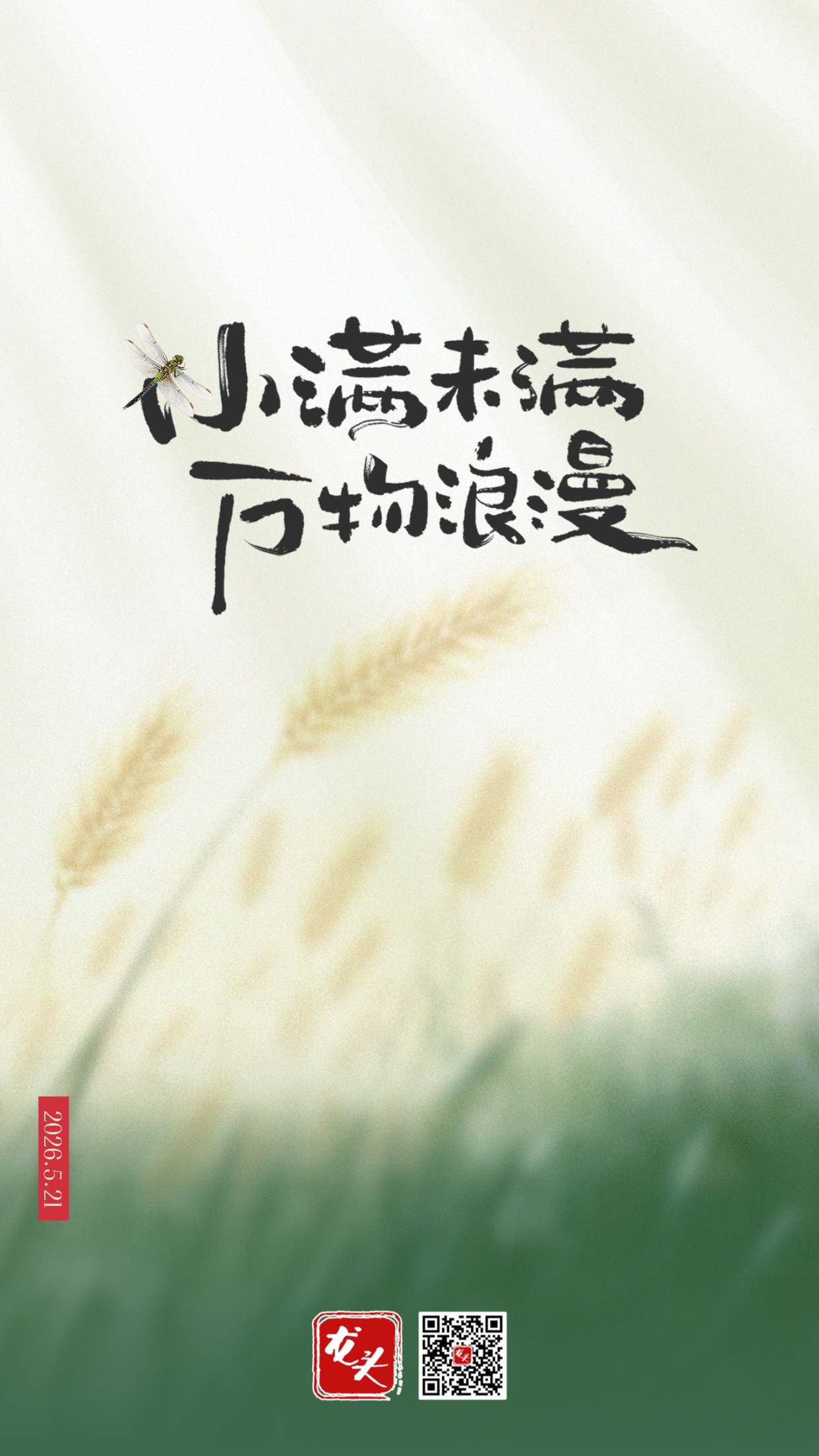 微信图片_2026-05-19_150157_567.jpg