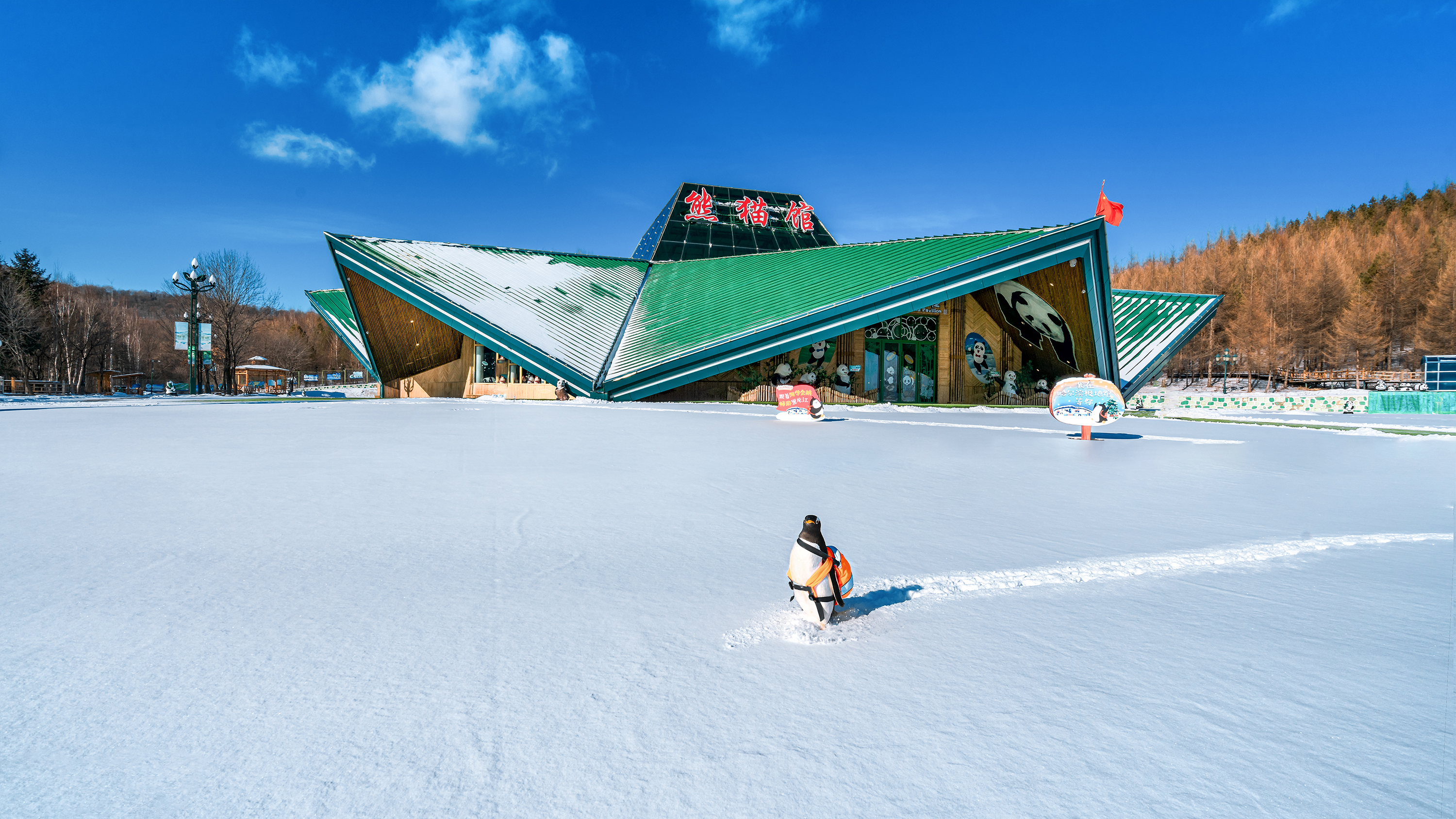 高铁直通滑雪场冬奥期间到亚布力感受冰雪运动的魅力