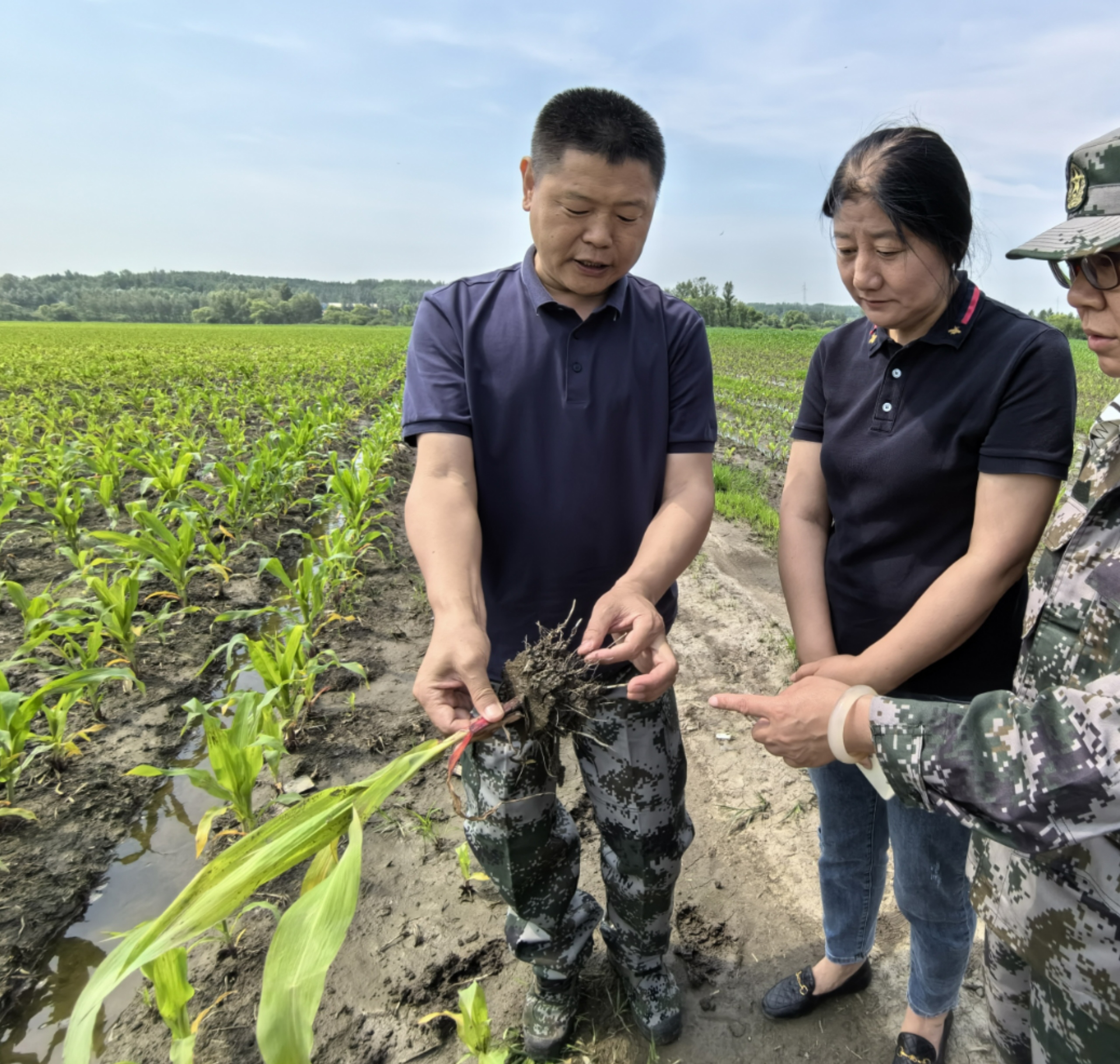 孟鹤堂阿城区亚沟镇图片