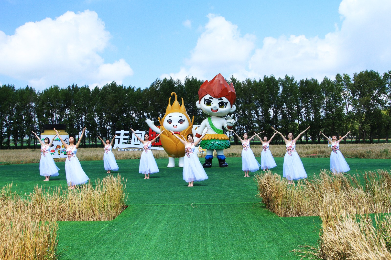 胜利农场:开展"收获希望 麦向未来"主题系列活动